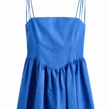 Blue Fit-and-Flare Embroidered Mini Dress