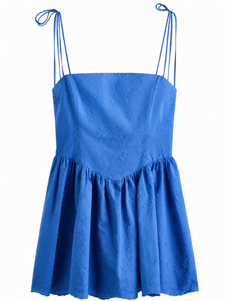 Blue Fit-and-Flare Embroidered Mini Dress
